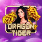 bbjl website image 46 showing live dragon tiger app