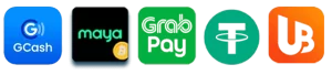 bbjl website image 20 showing payment