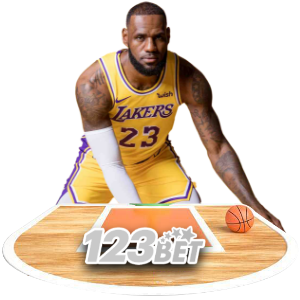BBJL sports betting dashboard showing live matches